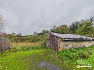 Photo- click for photo gallery